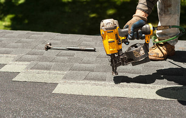 Best Roof Gutter Cleaning  in Isle Of Hope, GA